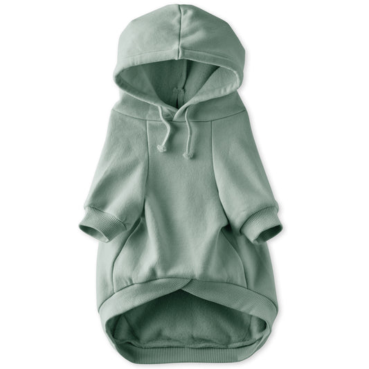 Green pet hoodie on a white background