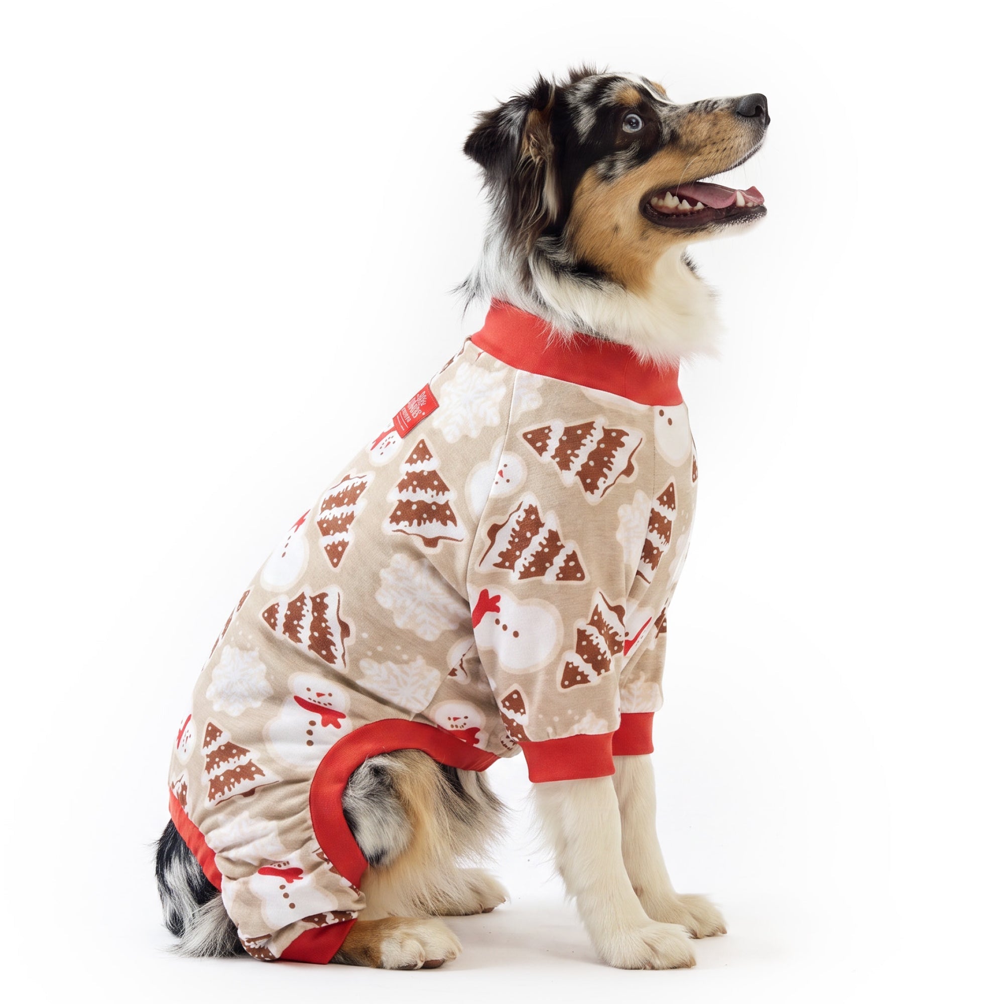 MATCHING FAMILY JAMMIES CHRISTMAS PAJAMS