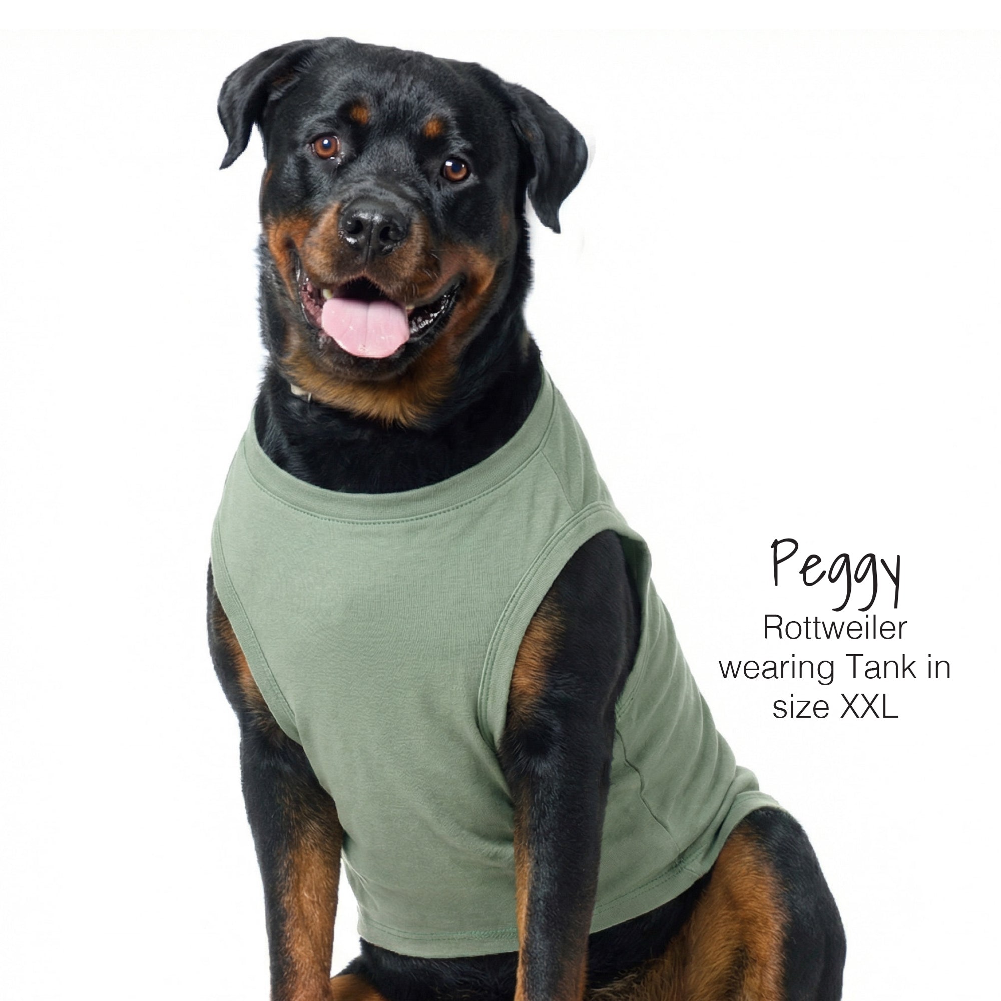 Dog wearing a green tank top with text indicating size and breed.