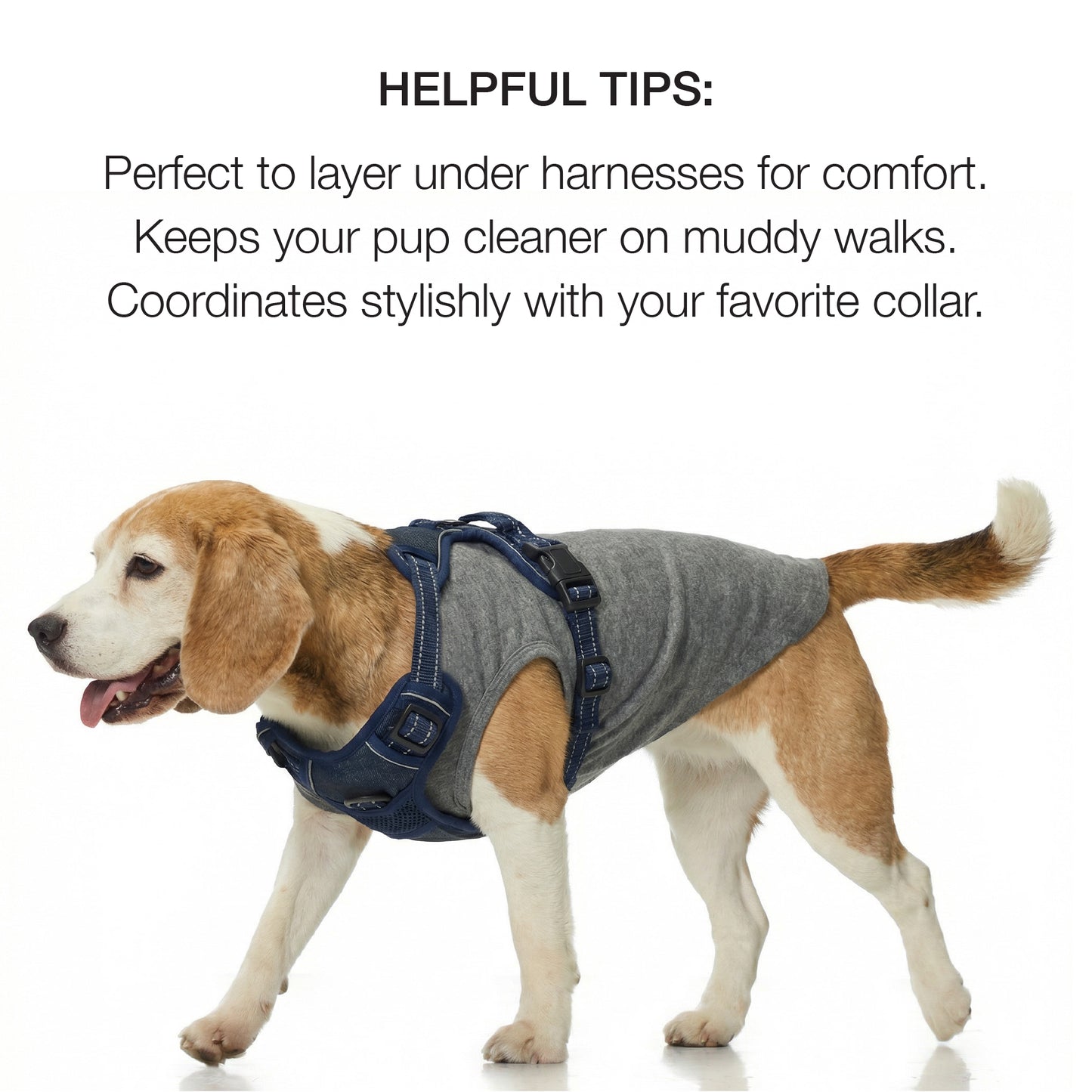 Dog wearing a harness with text about its benefits on a white background