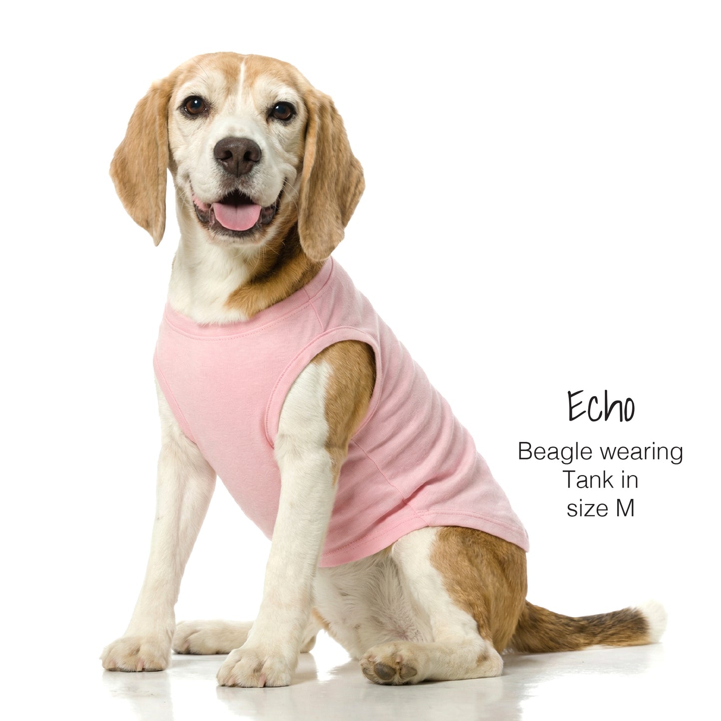 Beagle dog wearing a pink tank top on a white background