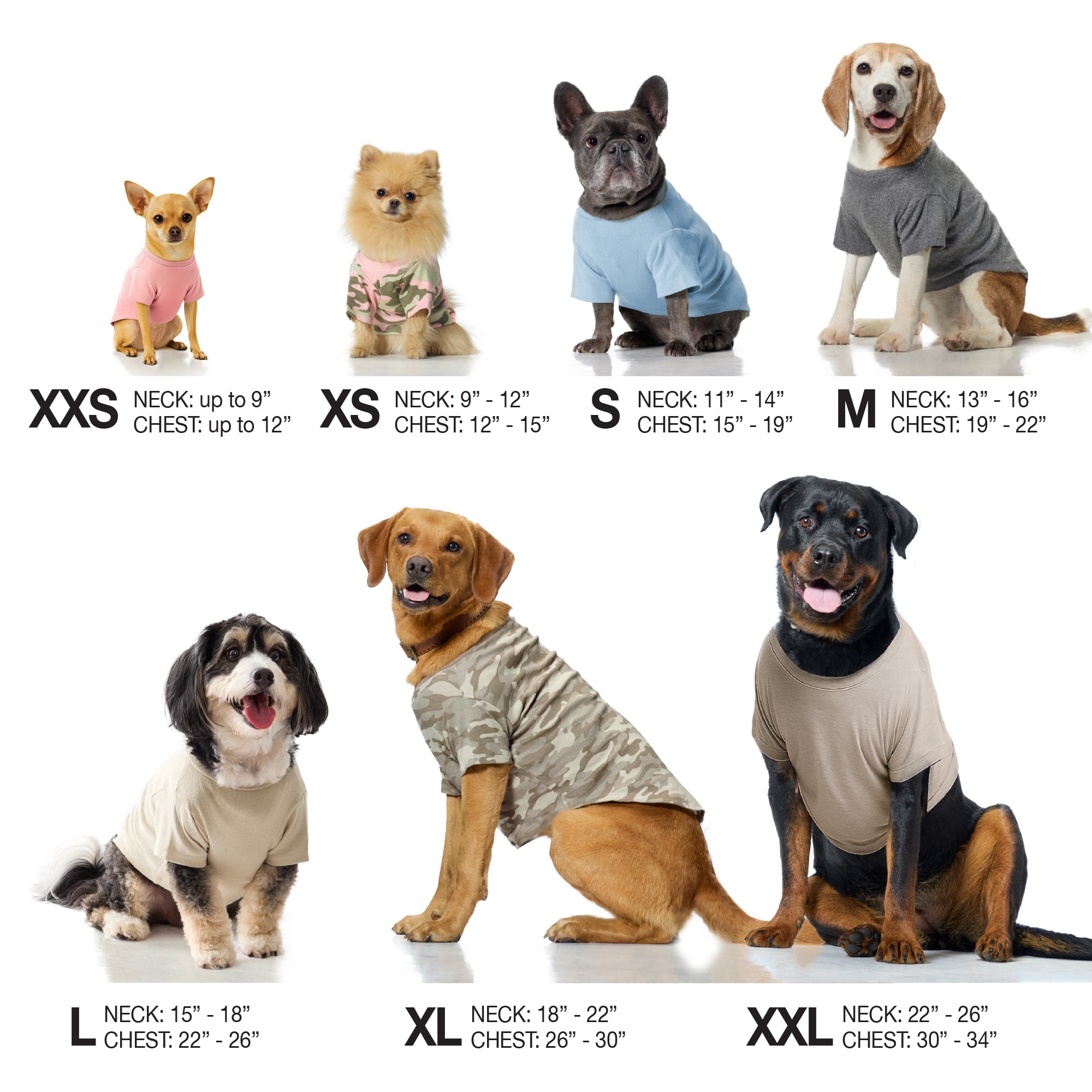 Dog clothing sizes chart with dogs wearing shirts of various sizes.