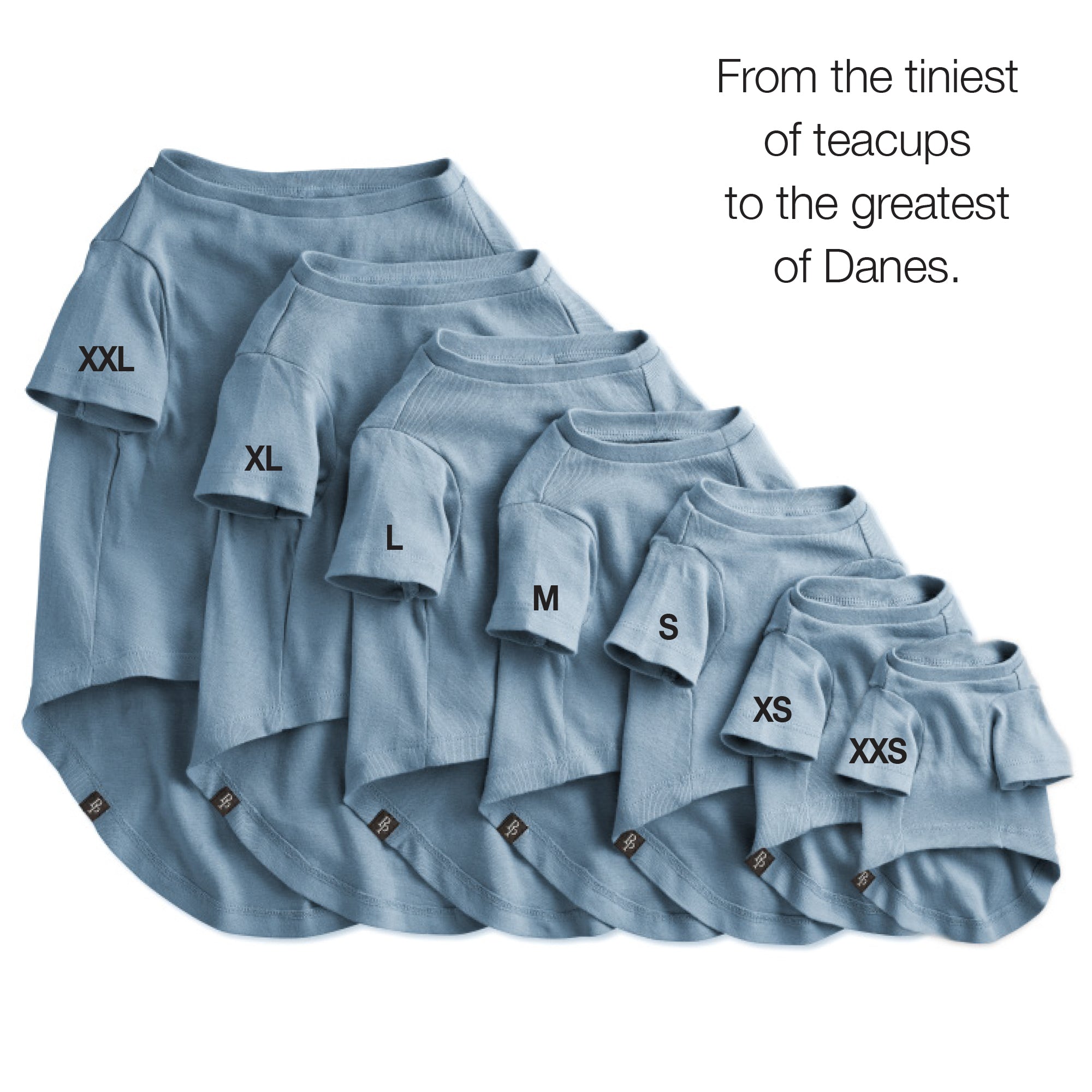 Layout of t-shirt pack on a white background