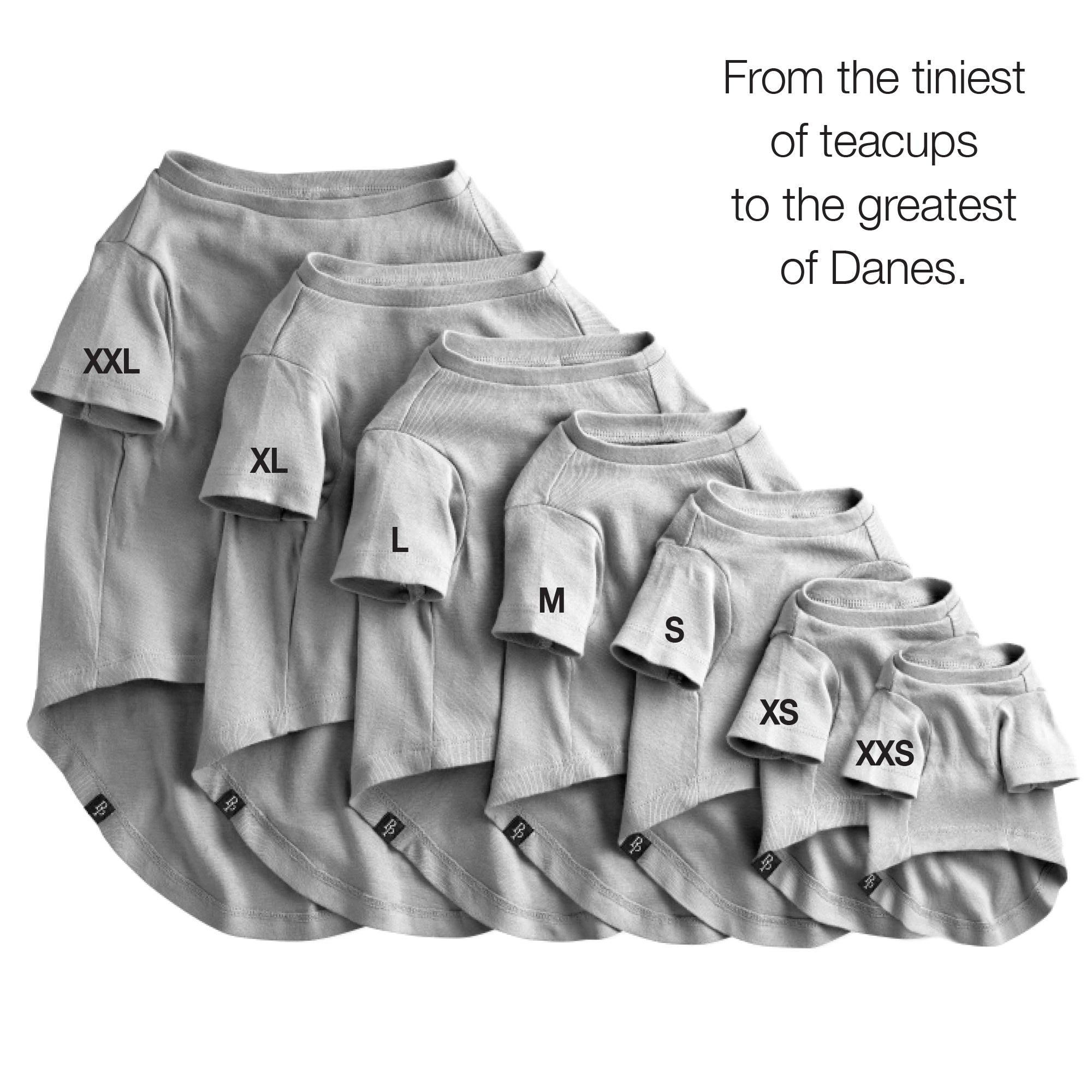 Layout of all Tshirt Sizes with size labels on a white background