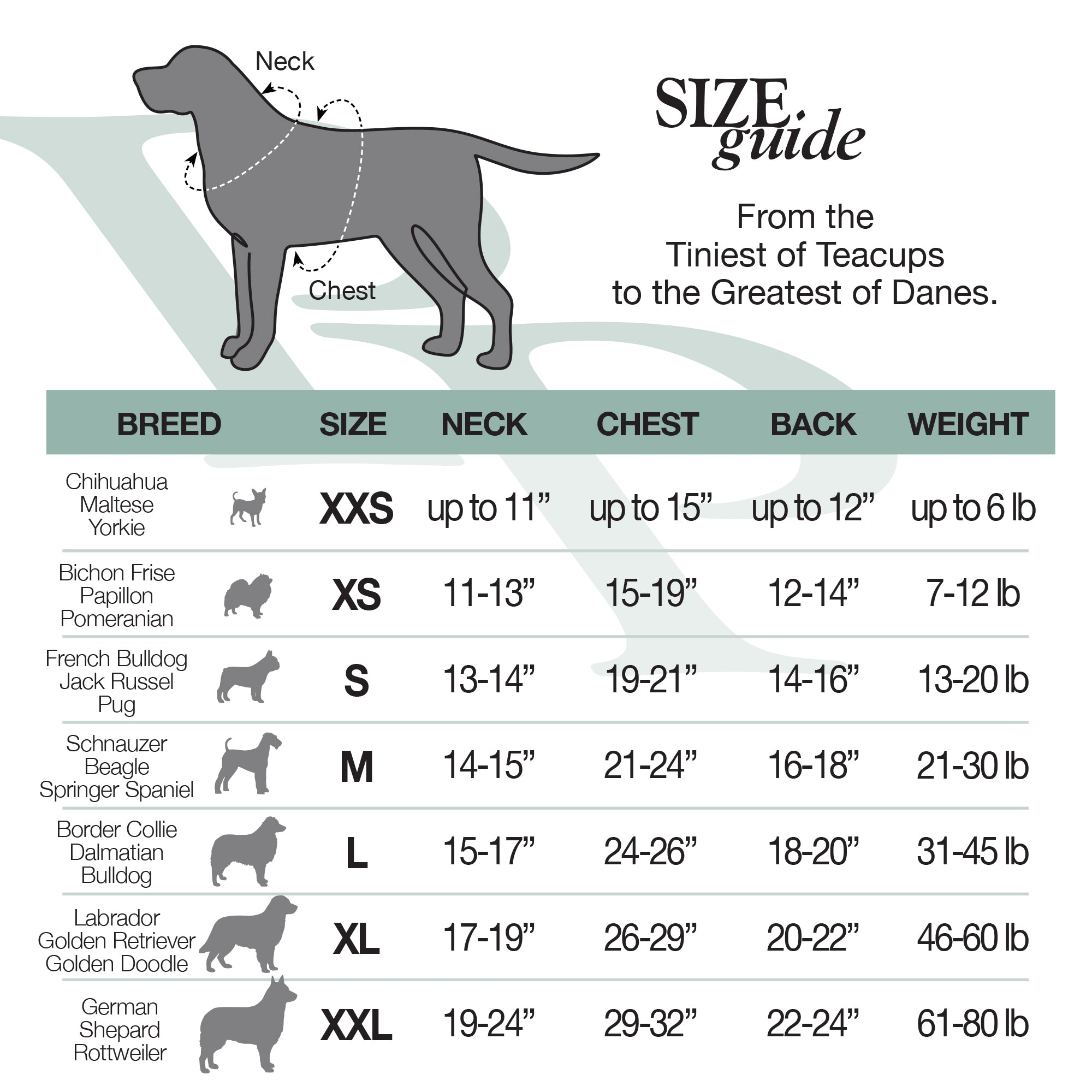 Collar/T-shirt Size Chart