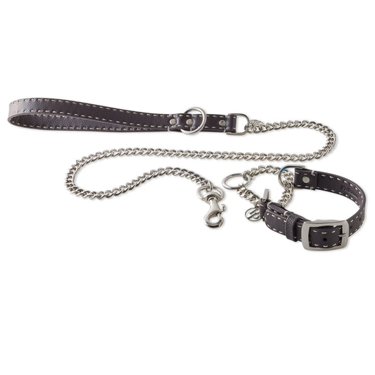 REIN SUPREME Martingale & Leash Set in Chocolate Espresso - Pet Passion vegan leather dog collar and leash set