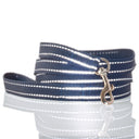 MAX - THE HARDY REFLECTIVE LEASH & COLLAR, 2-PACK, NAVY