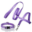 MAX - THE HARDY REFLECTIVE LEASH & COLLAR, 2-PACK