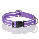 MAX - THE HARDY REFLECTIVE LEASH & COLLAR, 2-PACK