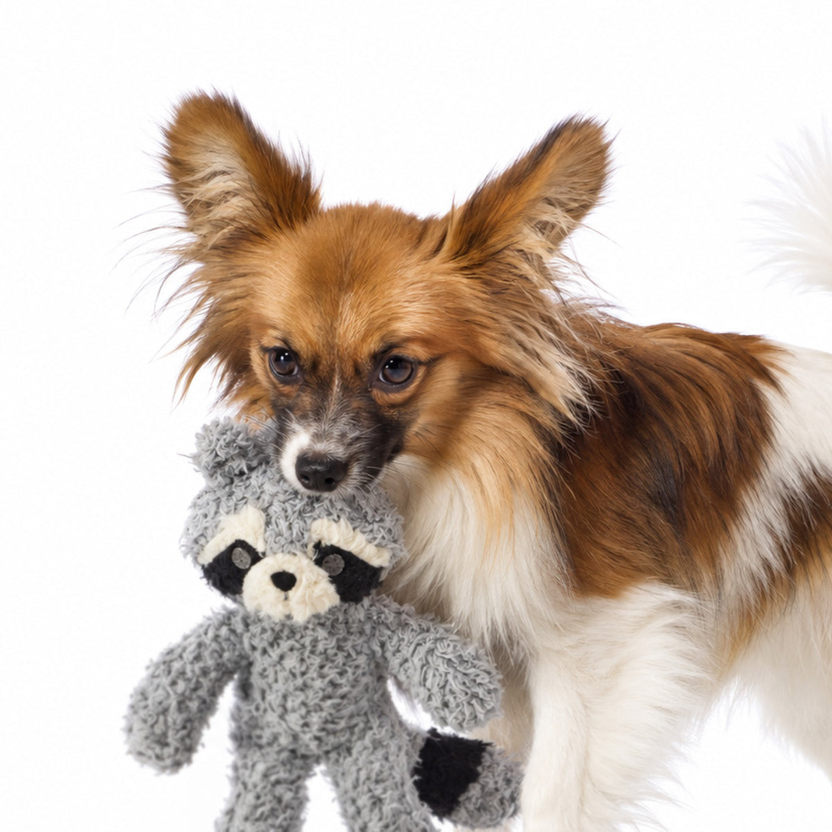Pet Passion Three's Company plush woodland toy gift basket on white background
