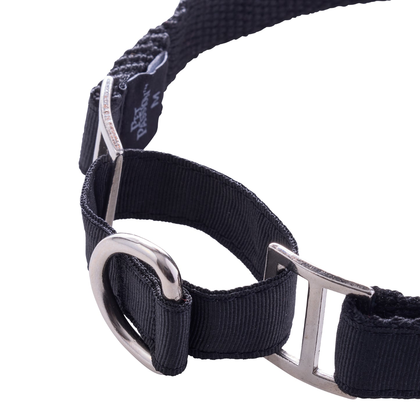 close-up of collar hardware and ring attachment