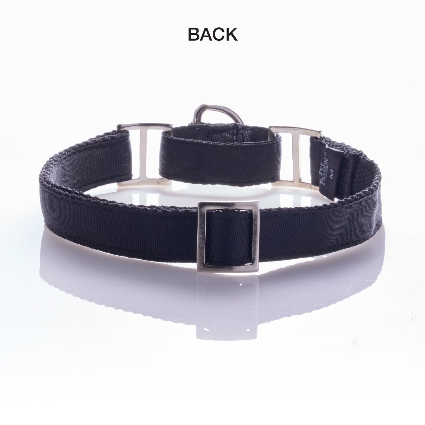 back of Remy collar on a white background