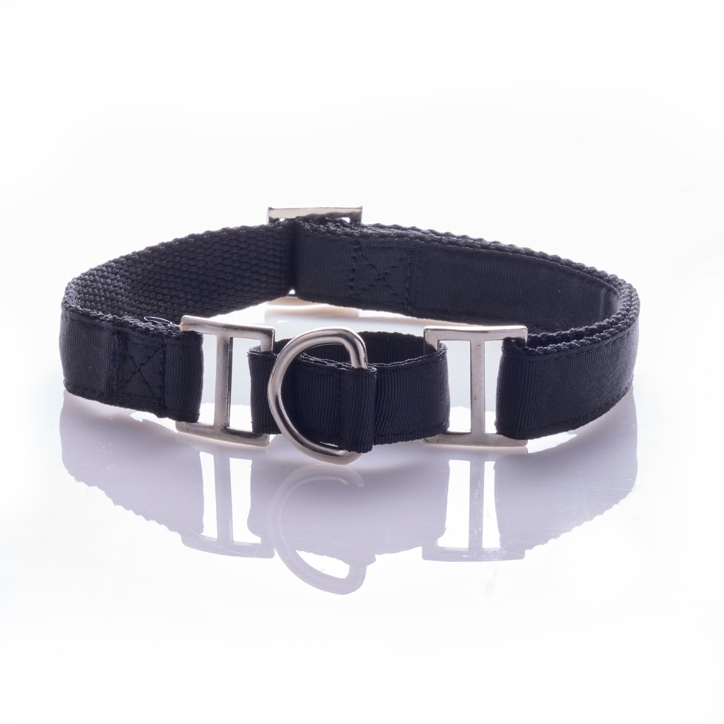 black dog collar on a white background