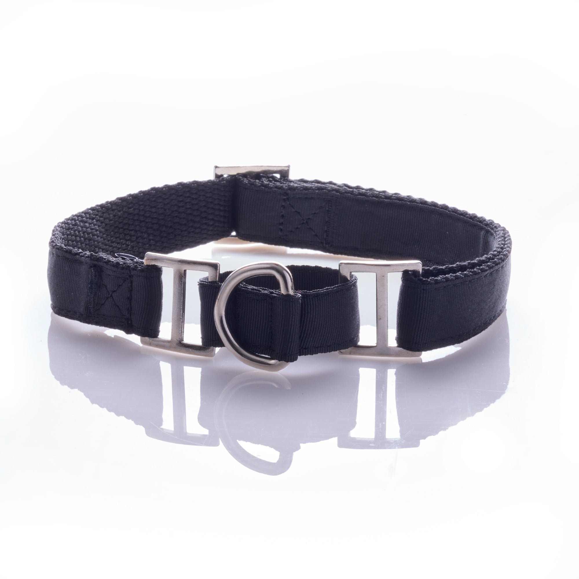 black dog collar on a white background