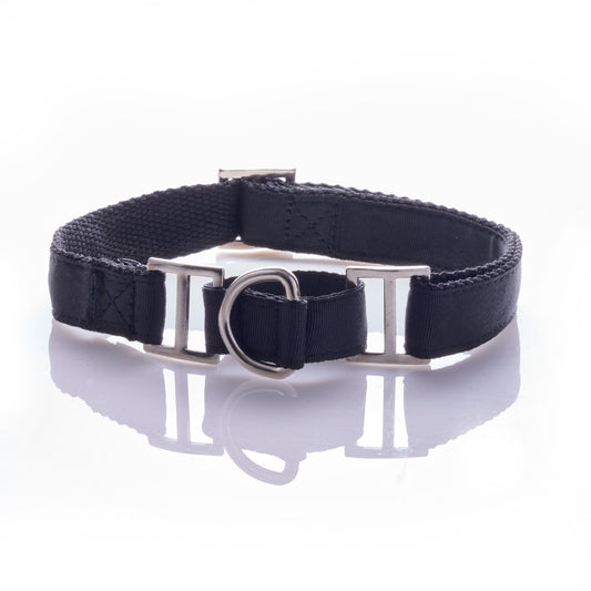 black dog collar on a white background