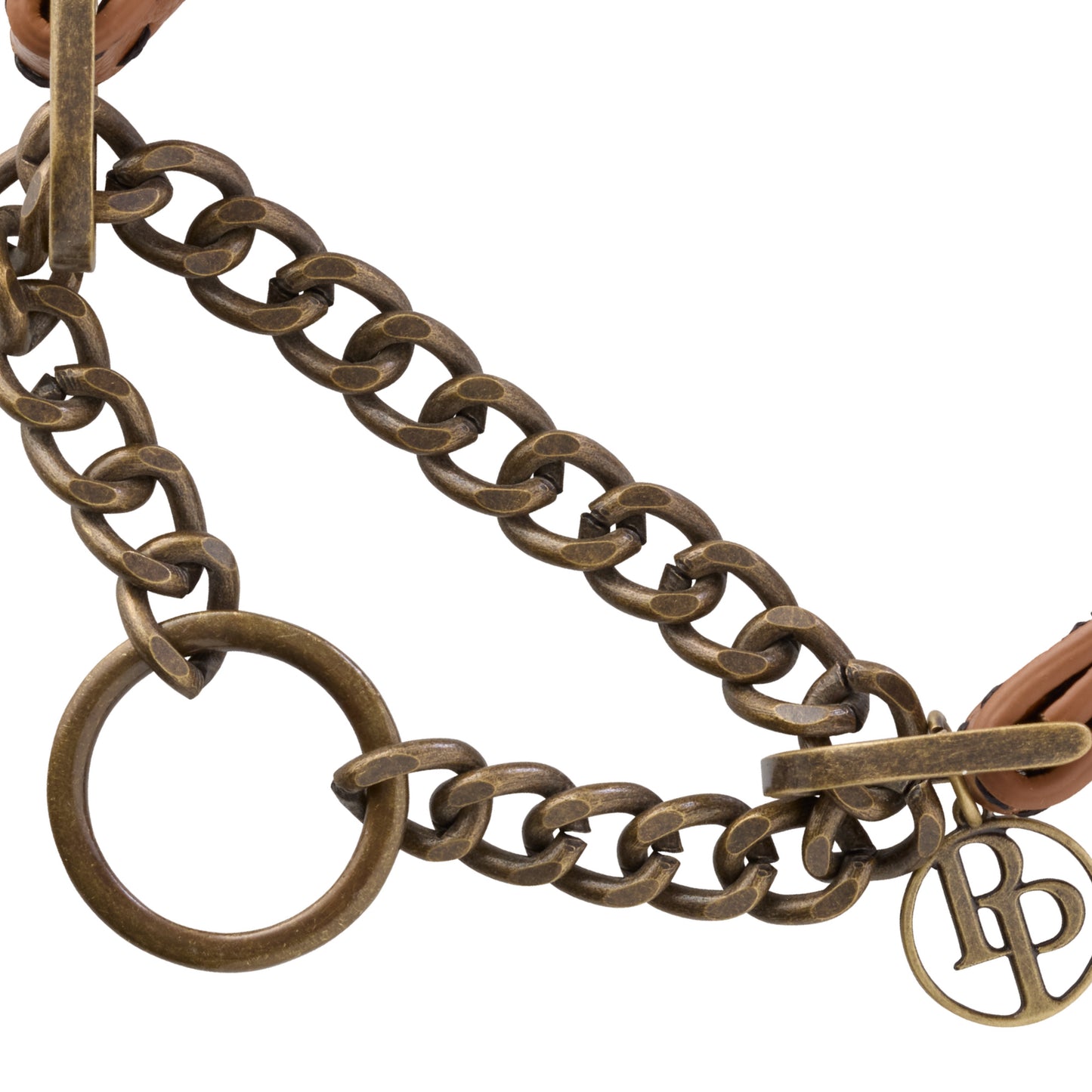 Close-up of martingale chain link collar mechanism. 