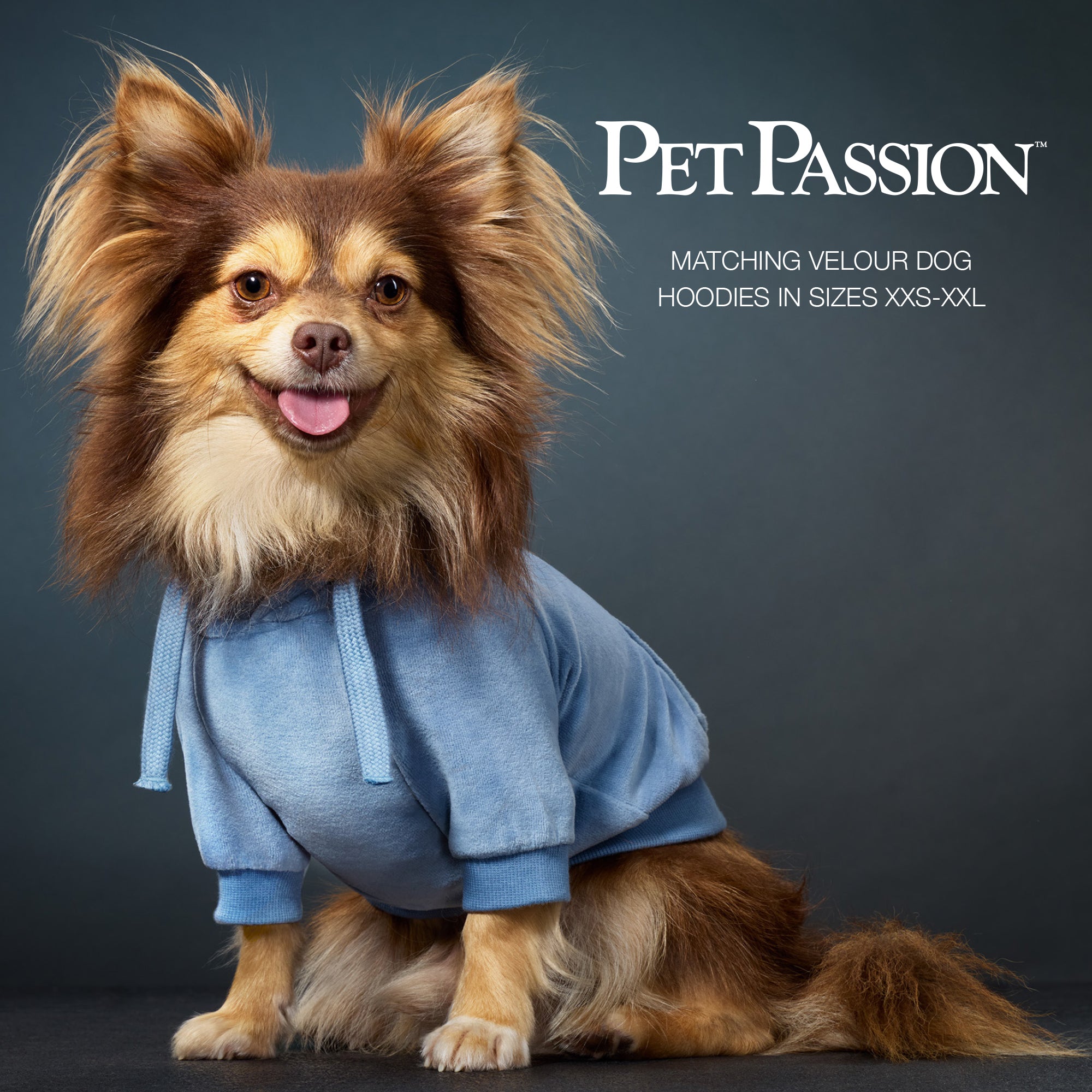 PEOPLE PACKS COOPER II - THE PLUSH VELOUR SWEATSUIT, FADED DENIM