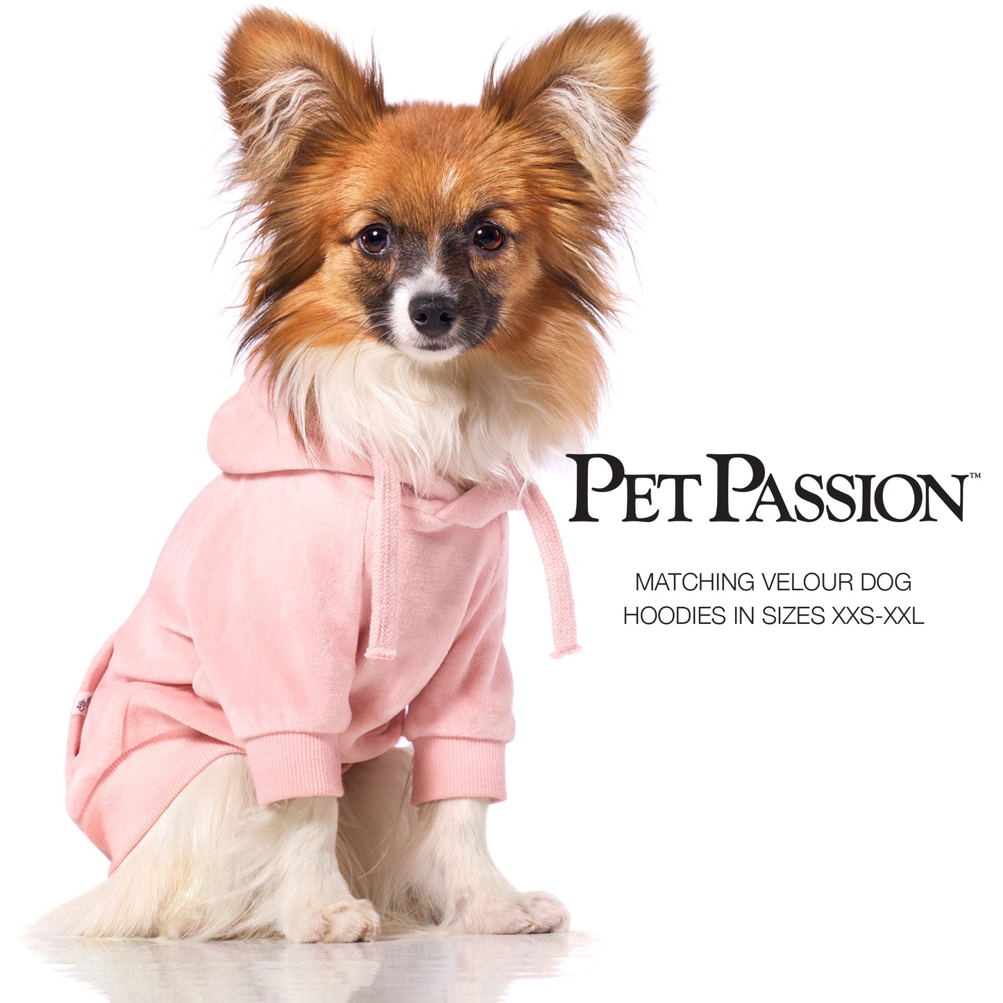 PEOPLE PACKS COOPER II - THE PLUSH VELOUR SWEATSUIT, PINK