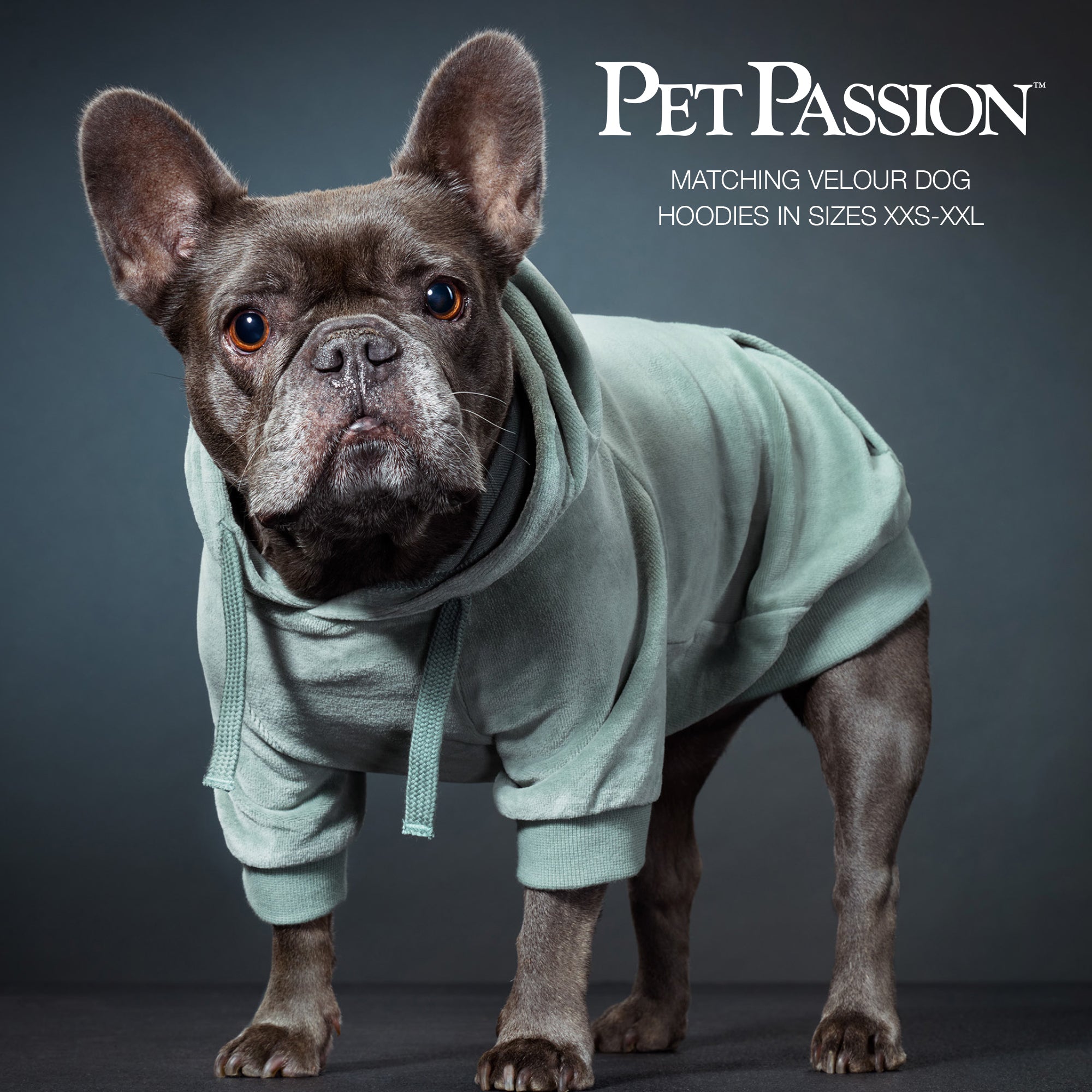 PEOPLE PACKS COOPER II - THE PLUSH VELOUR SWEATSUIT, SAGE