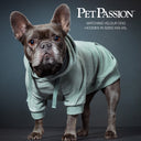 PEOPLE PACKS COOPER II - THE PLUSH VELOUR SWEATSUIT, SAGE