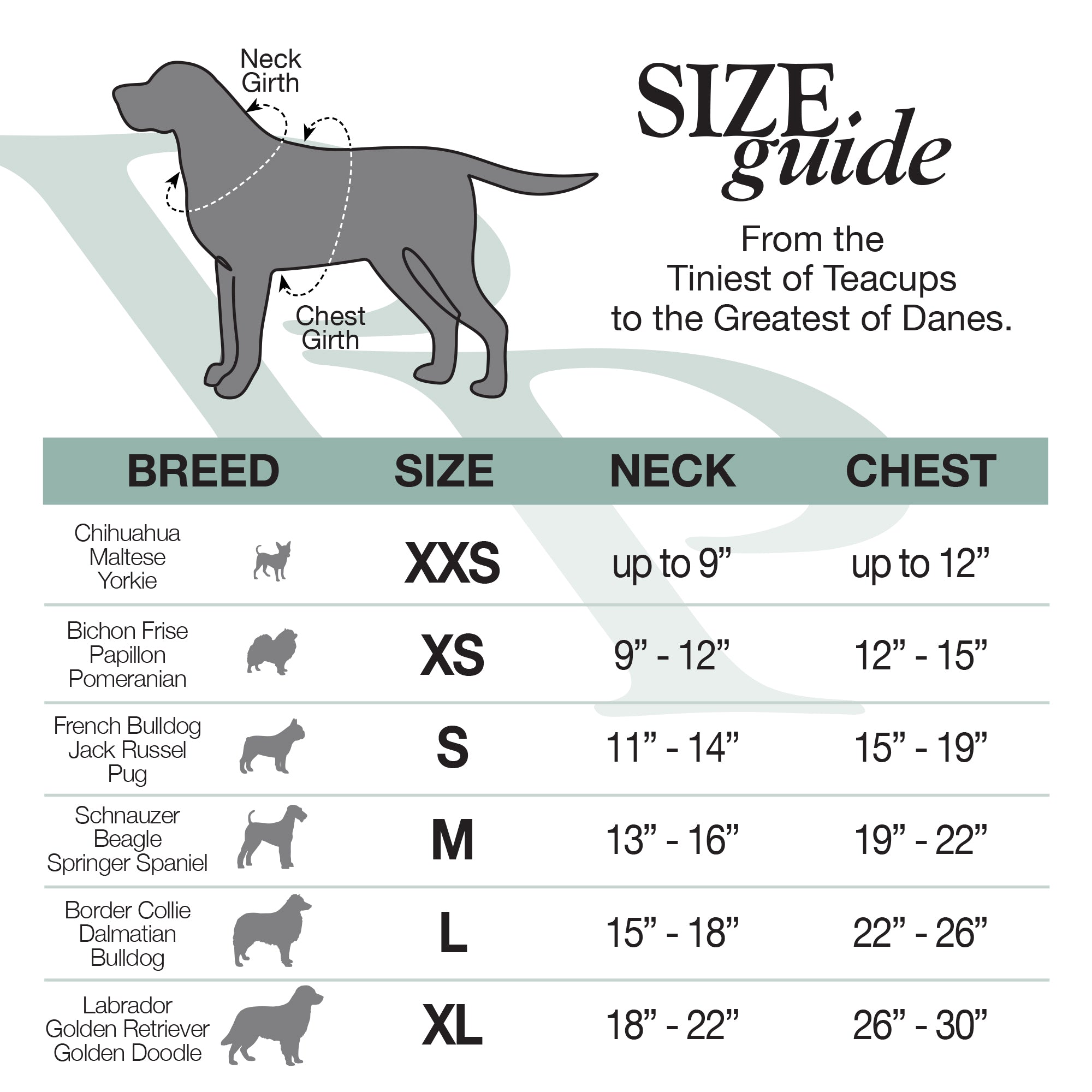 Size Guide from the tiniest of teacups to the greatest of danes.