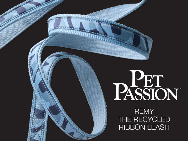 Blue ribbon leash with 'Pet Passion' branding on a black background