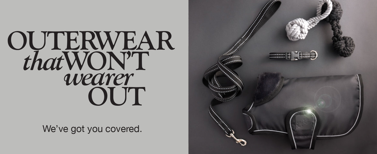 Dog leash, collar, and rope on a gray background with text about outerwear.