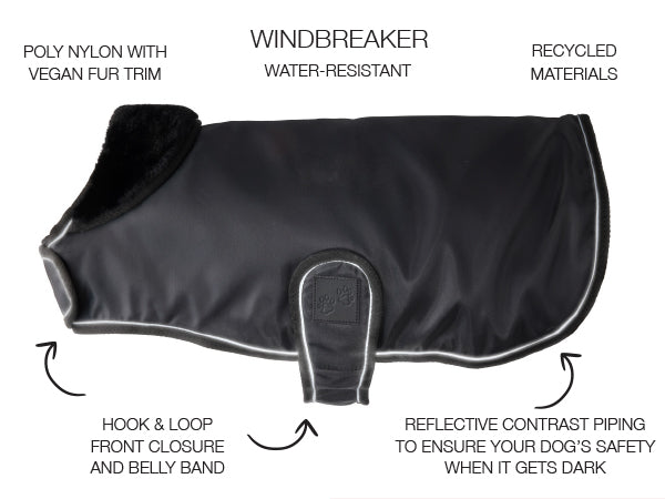 Black dog windbreaker with features highlighted on a white background