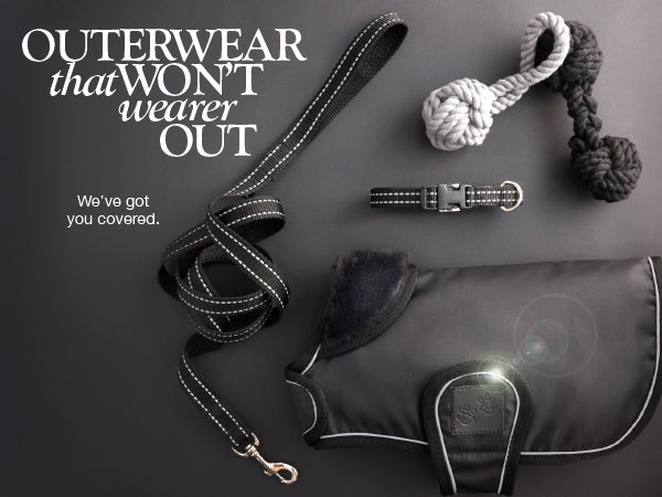 Dog leash, collar, and harness on a dark surface with promotional text.
