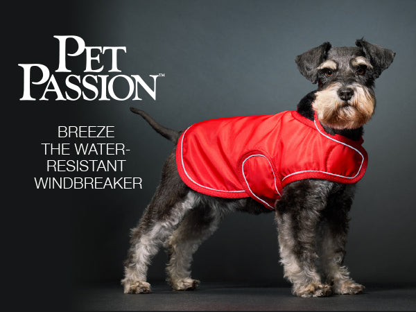 Dog wearing a red water-resistant windbreaker with 'Pet Passion' branding on a dark background