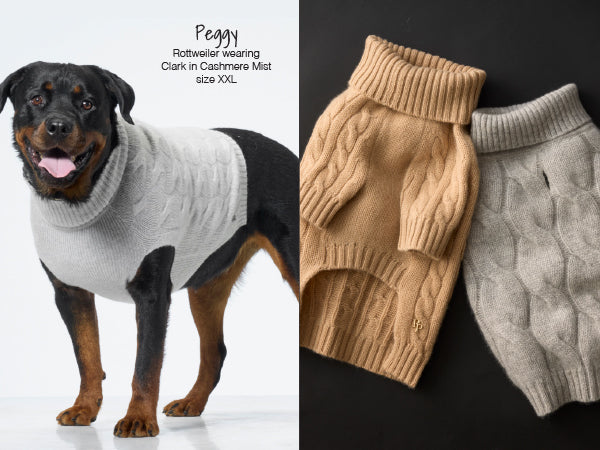 Dog wearing a gray sweater with two additional sweaters shown on a black background.