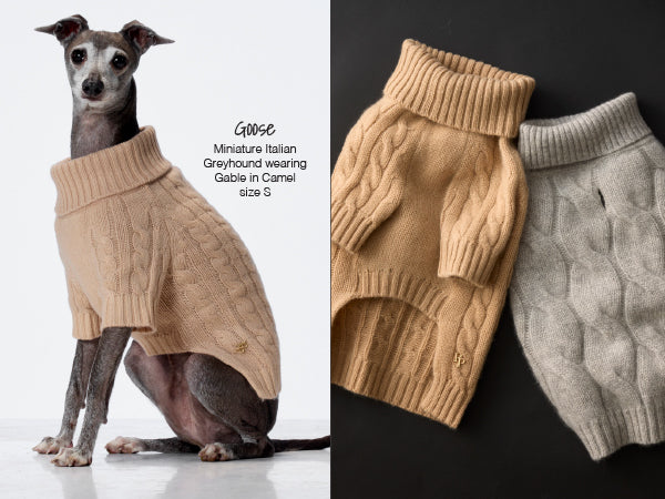 Dog wearing a beige sweater with two additional sweaters displayed on a black background.