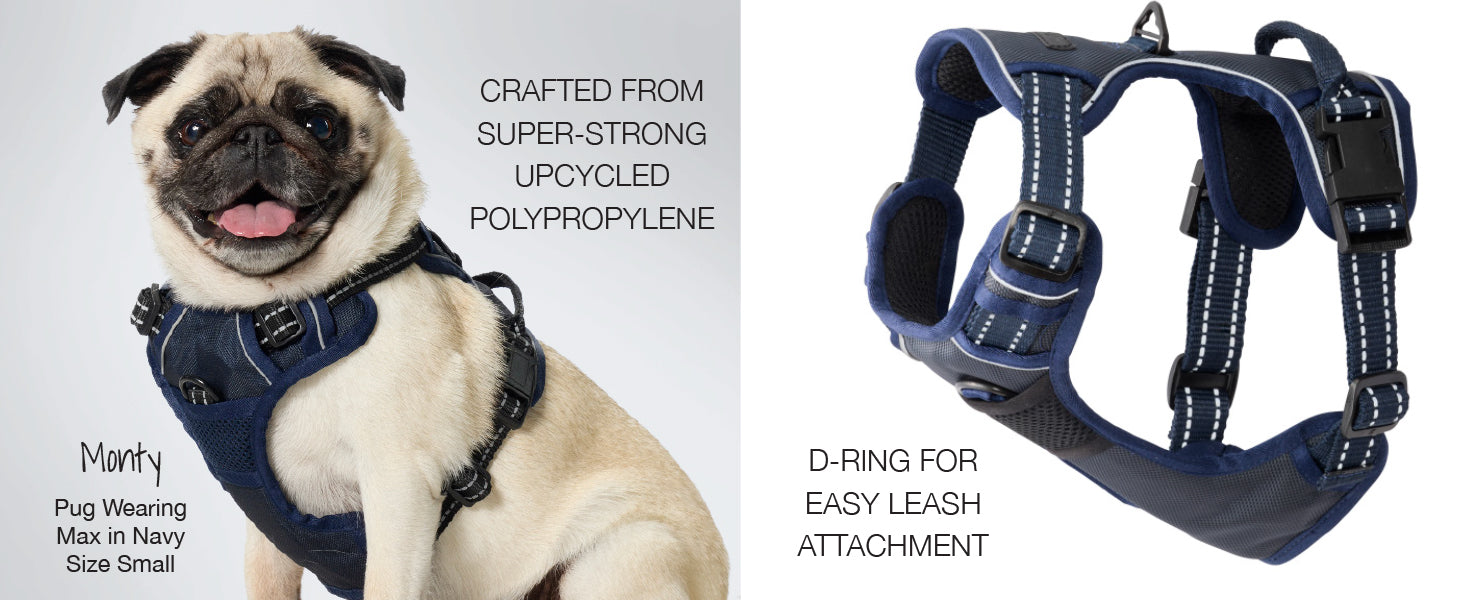 Max Harness Details