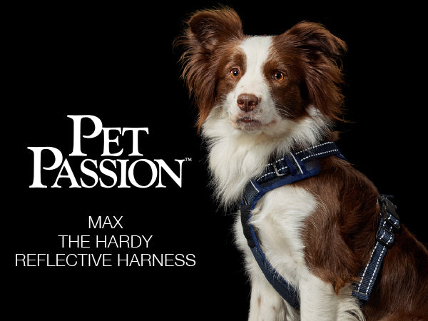 Pet Passion Max The Hardy Reflective Harness