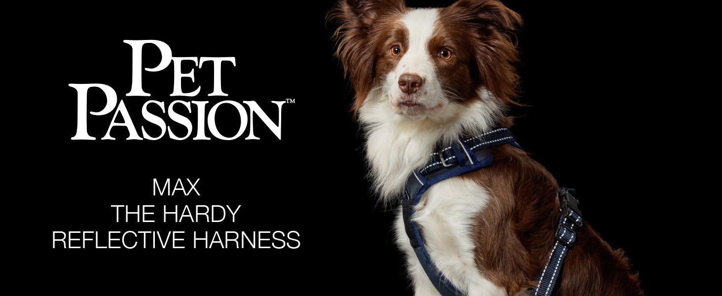 Pet Passion Max The Hardy Reflective Harness