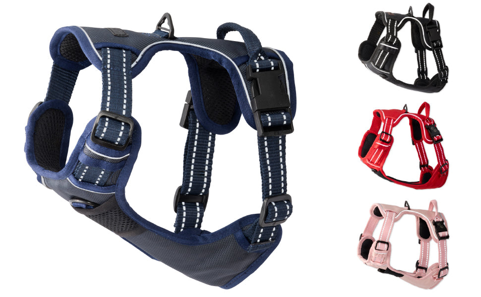 Dog harnesses in a variety of colors