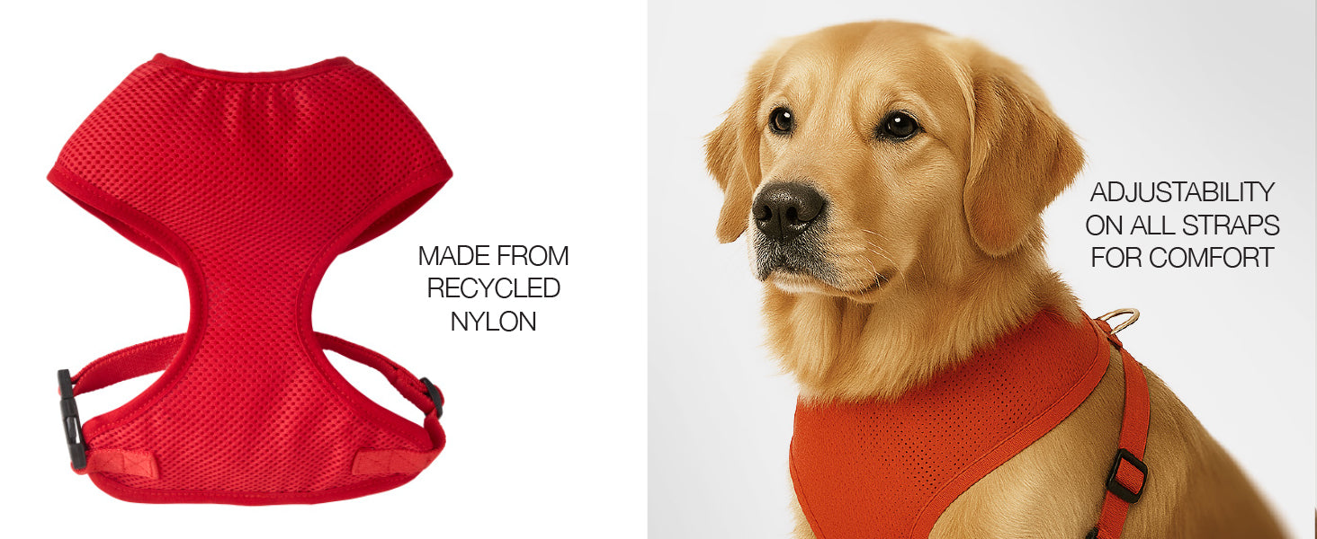 Milo Harness Details