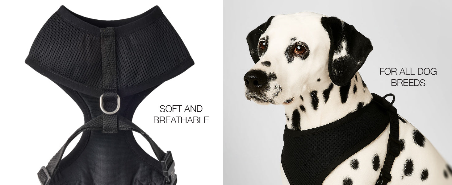 Milo Harness Details