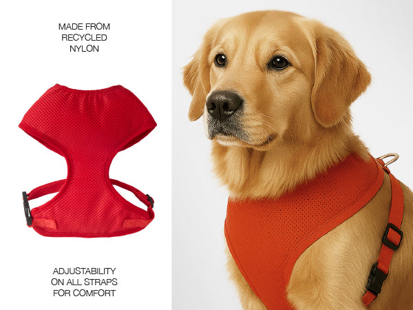 Milo Harness Details
