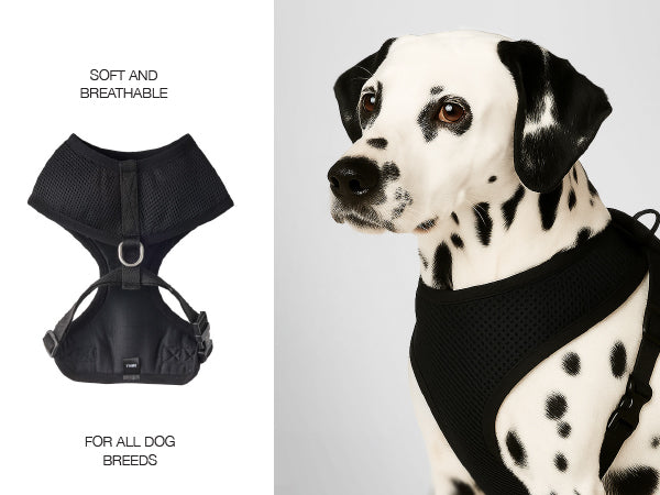 Milo Harness Details