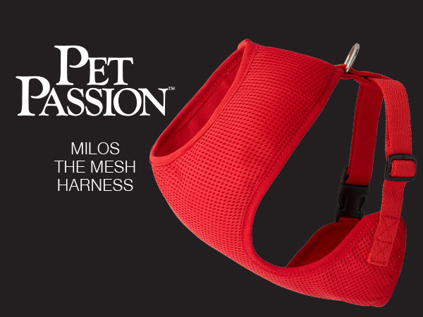 Pet Passion Milo The Mesh Harness