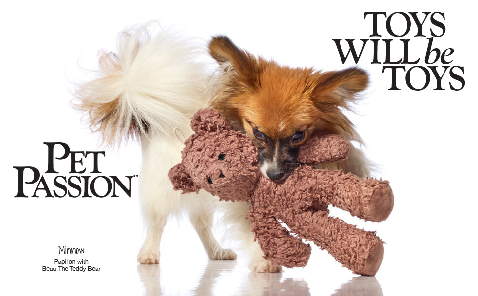 Small dog playing with a teddy bear toy on a white background, with text 'Toys Will be Toys' and 'Pet Passion'.