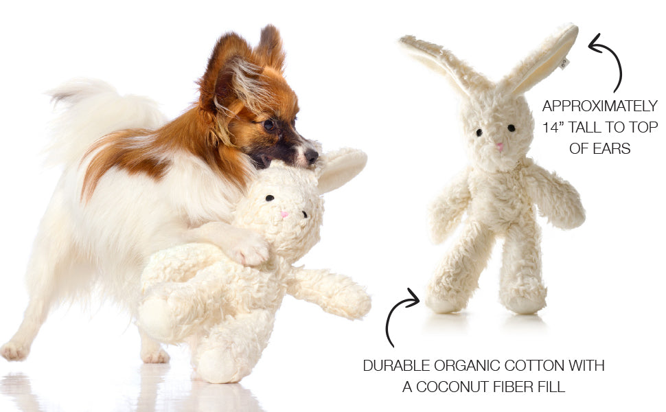 Dog playing with a plush toy, with another plush toy on the right, labeled as approximately 14" tall.