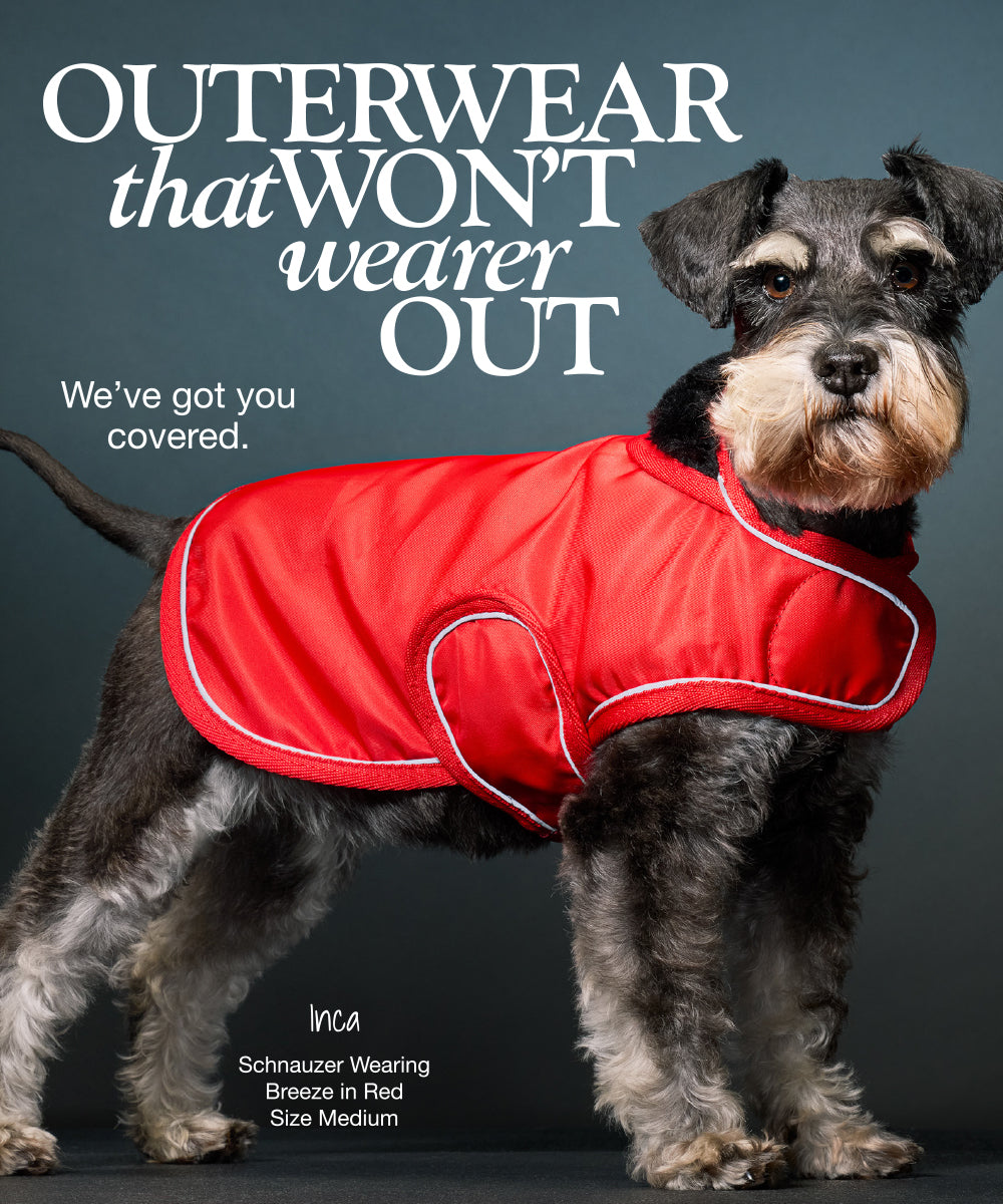 Dog wearing a red coat with text about outerwear