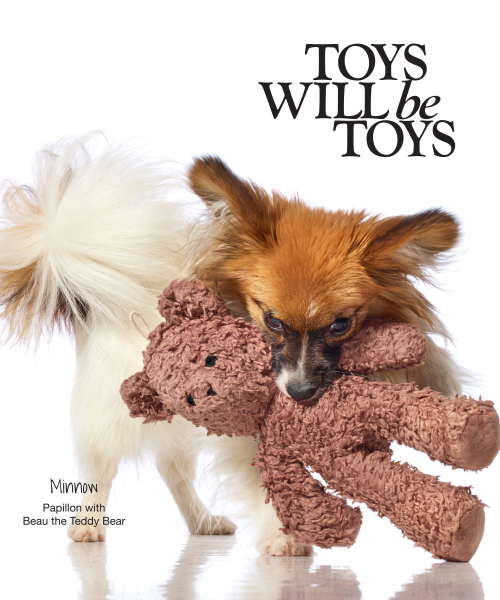 Pet Passion