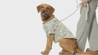 TOBY II - THE EXTRA PERFECT TEE, 8 PACK