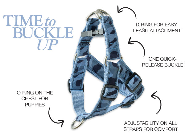 Dog harness with features highlighted on a white background