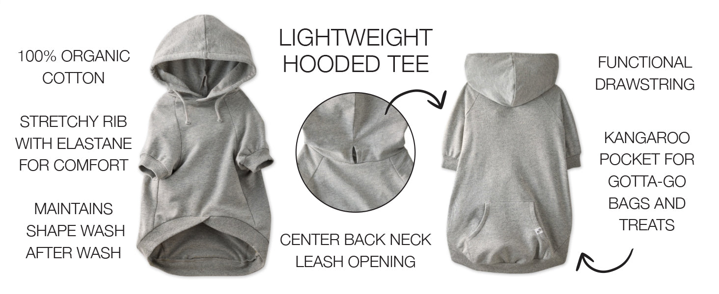 Gray hoodie with features highlighted on a white background