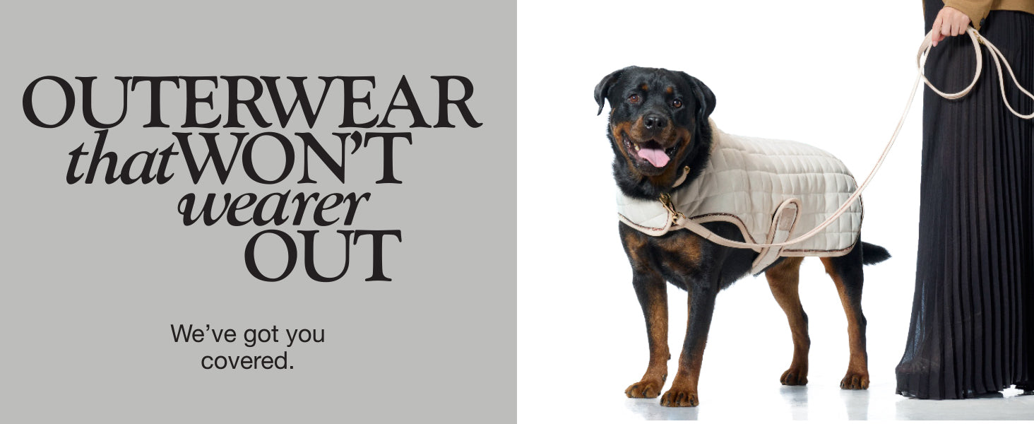 Dog wearing a coat with text 'Outerwear that won't wearer out' on a gray background