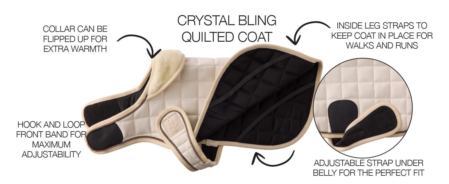 Diagram of a pet coat with features labeled